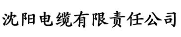 夜巴黎直播app最新电缆厂logo